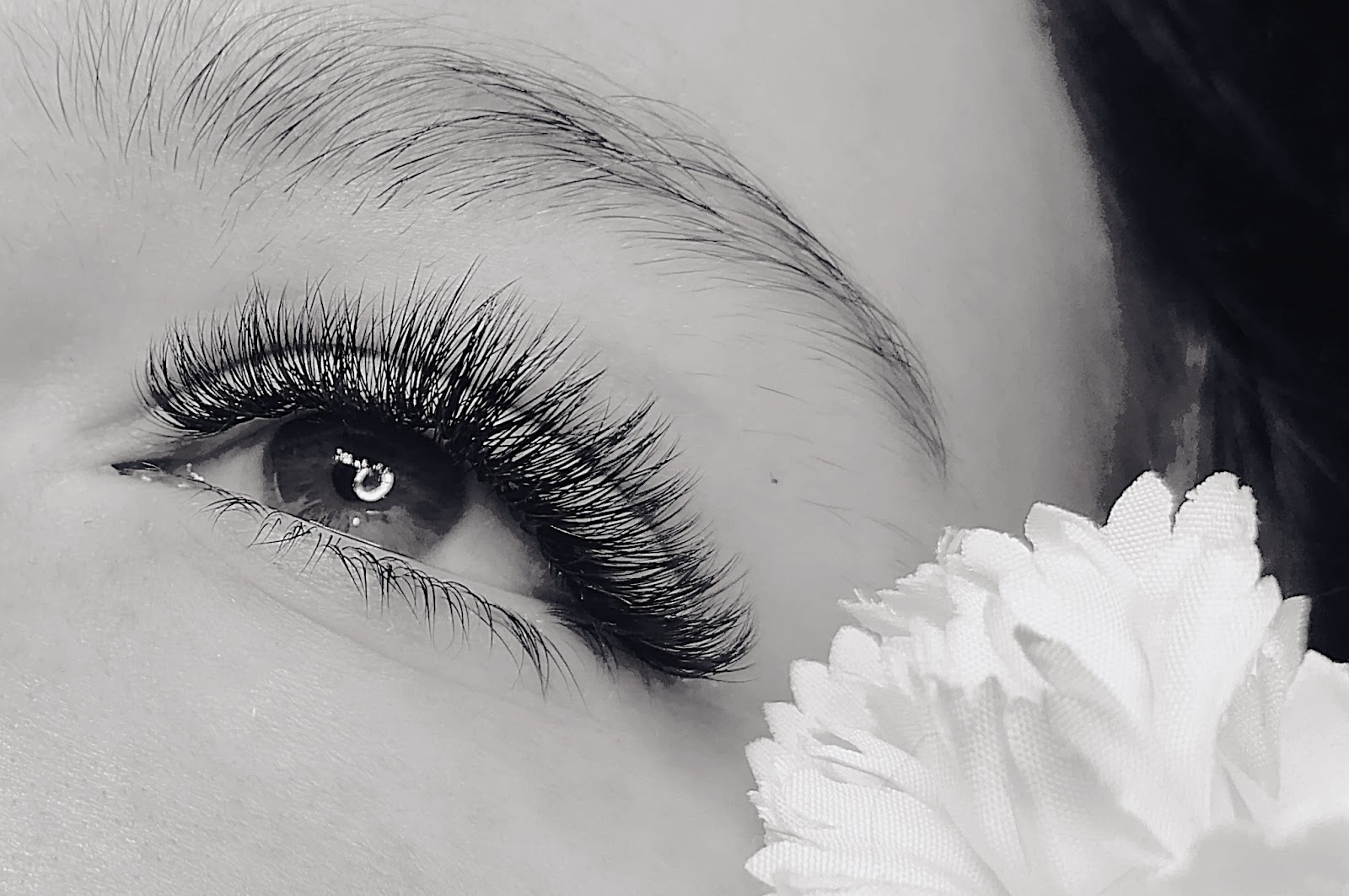 La Stella beauty