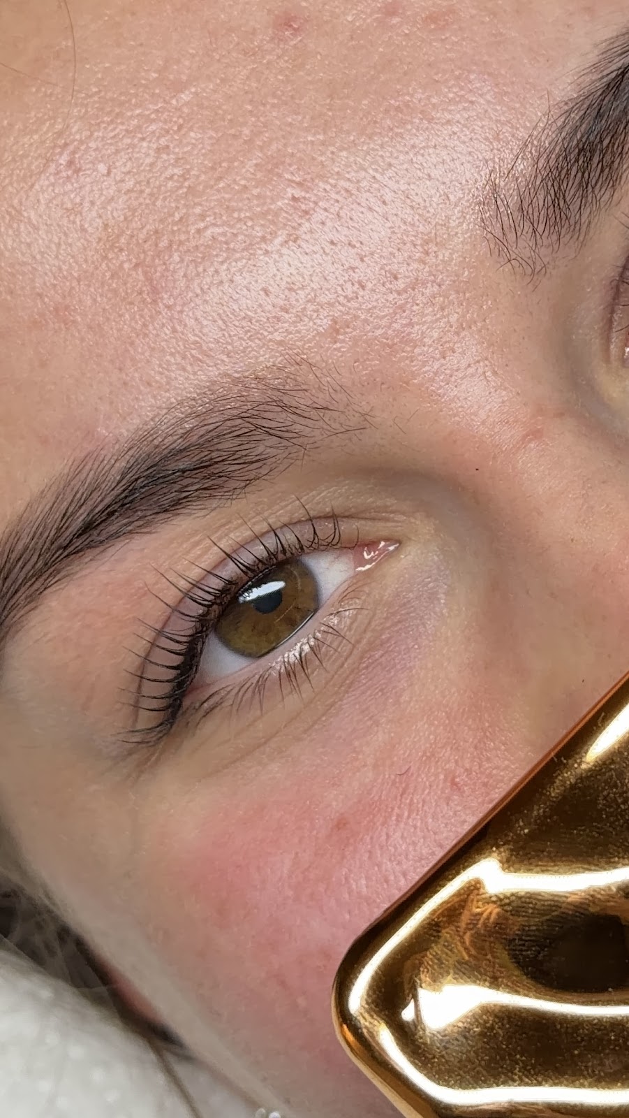 Elinasofialashes kuva 2