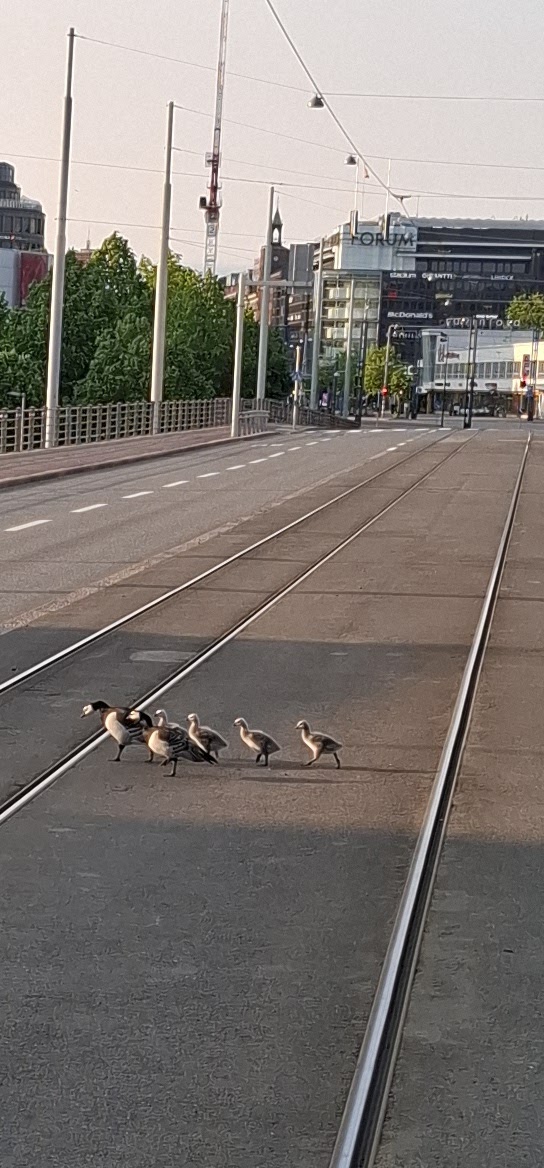 Plastic Surgery Center Erottajankatu kuva 2