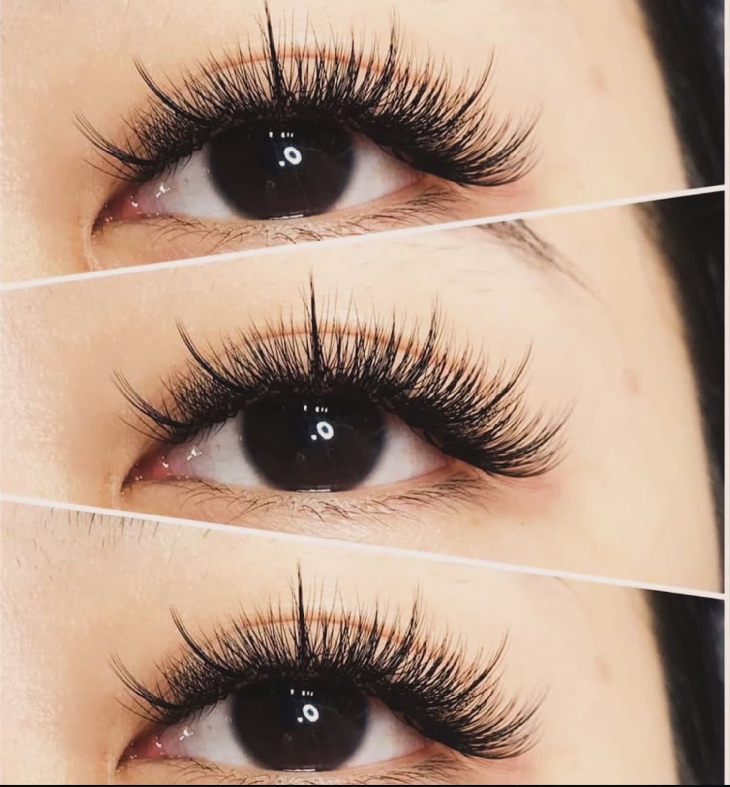 Lavender Studio kuva 5