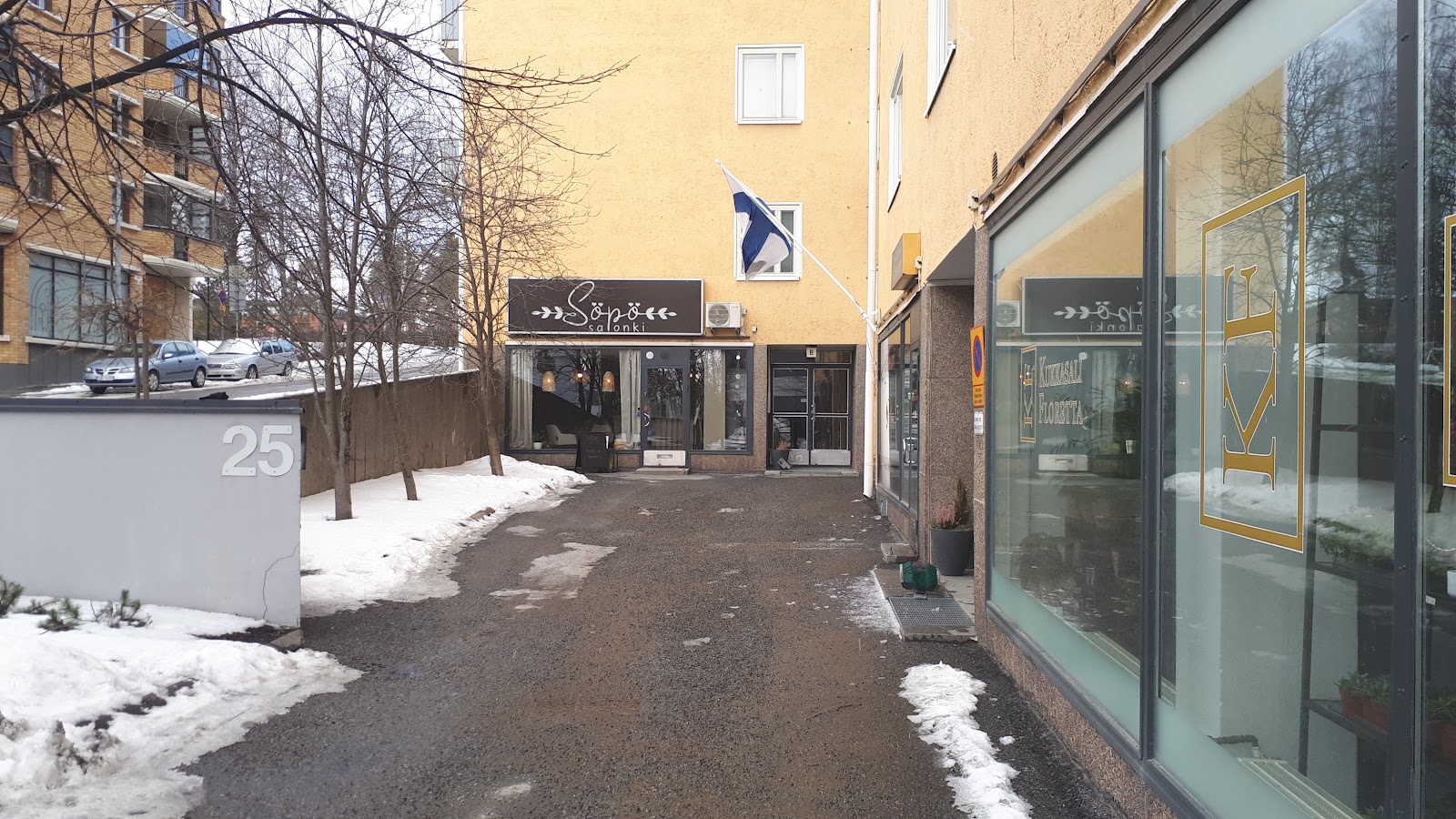 Söpö Salonki kuva 2