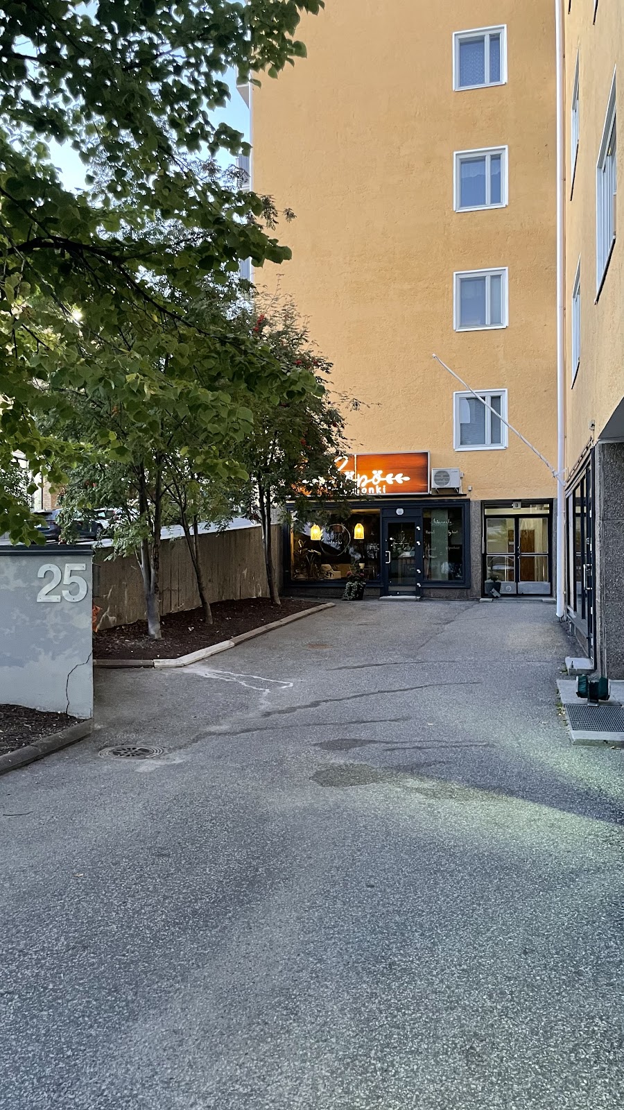 Söpö Salonki kuva 6