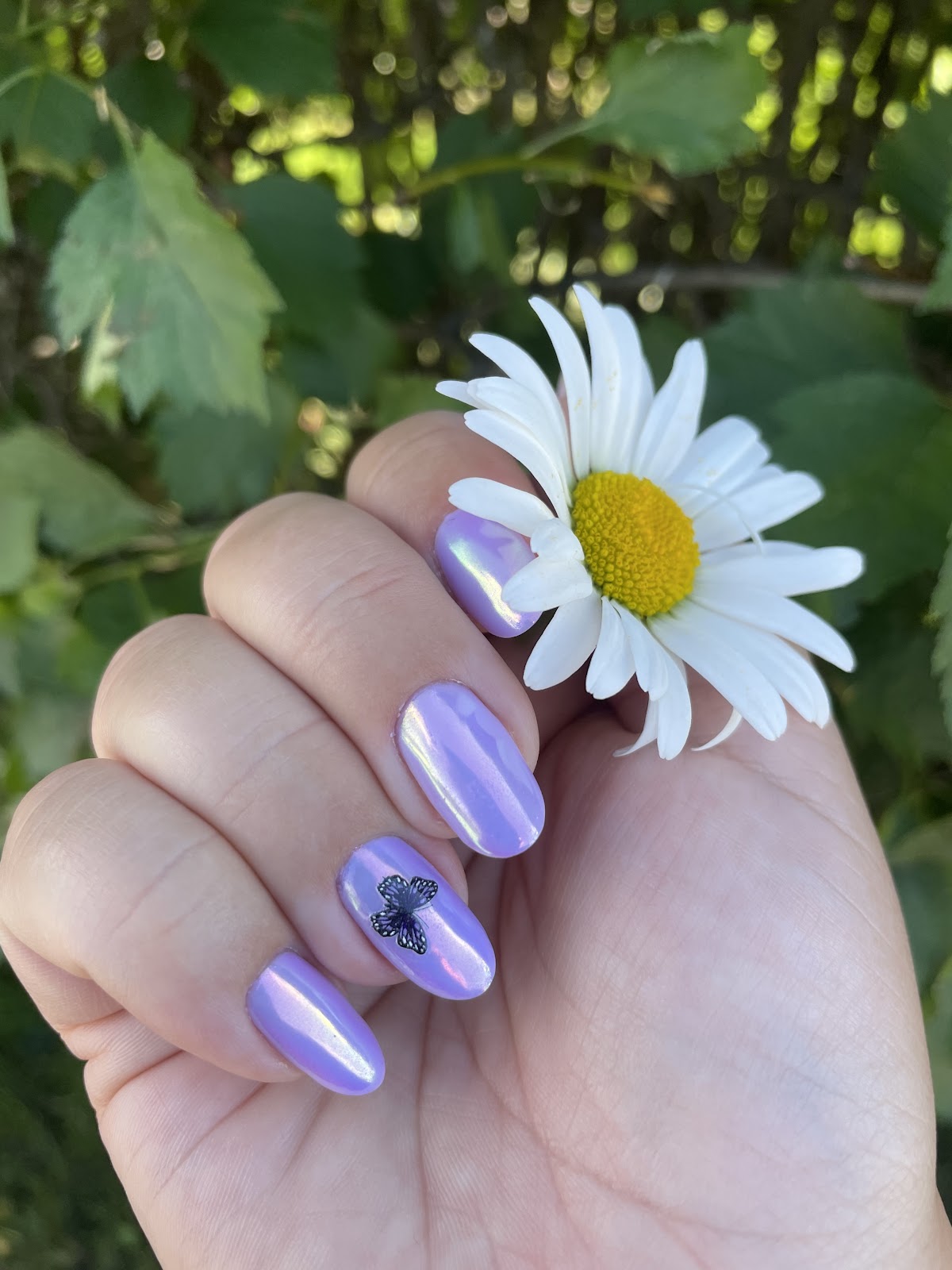Finnails kuva 2