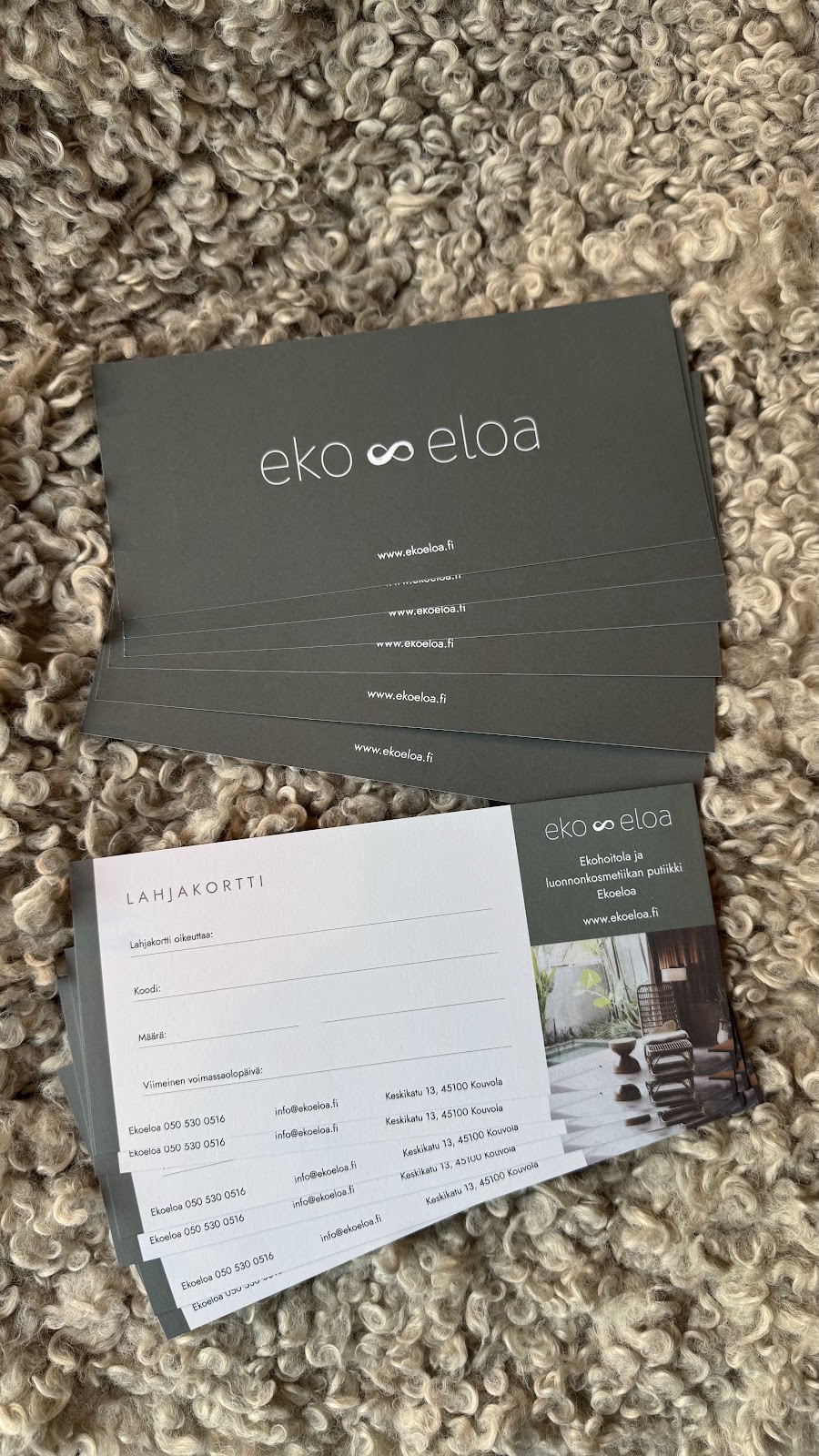 Ekoeloa kuva 4