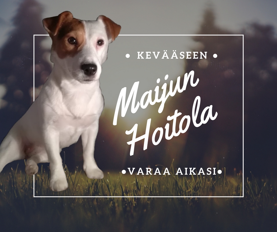 Maijun Hoitola kuva 6