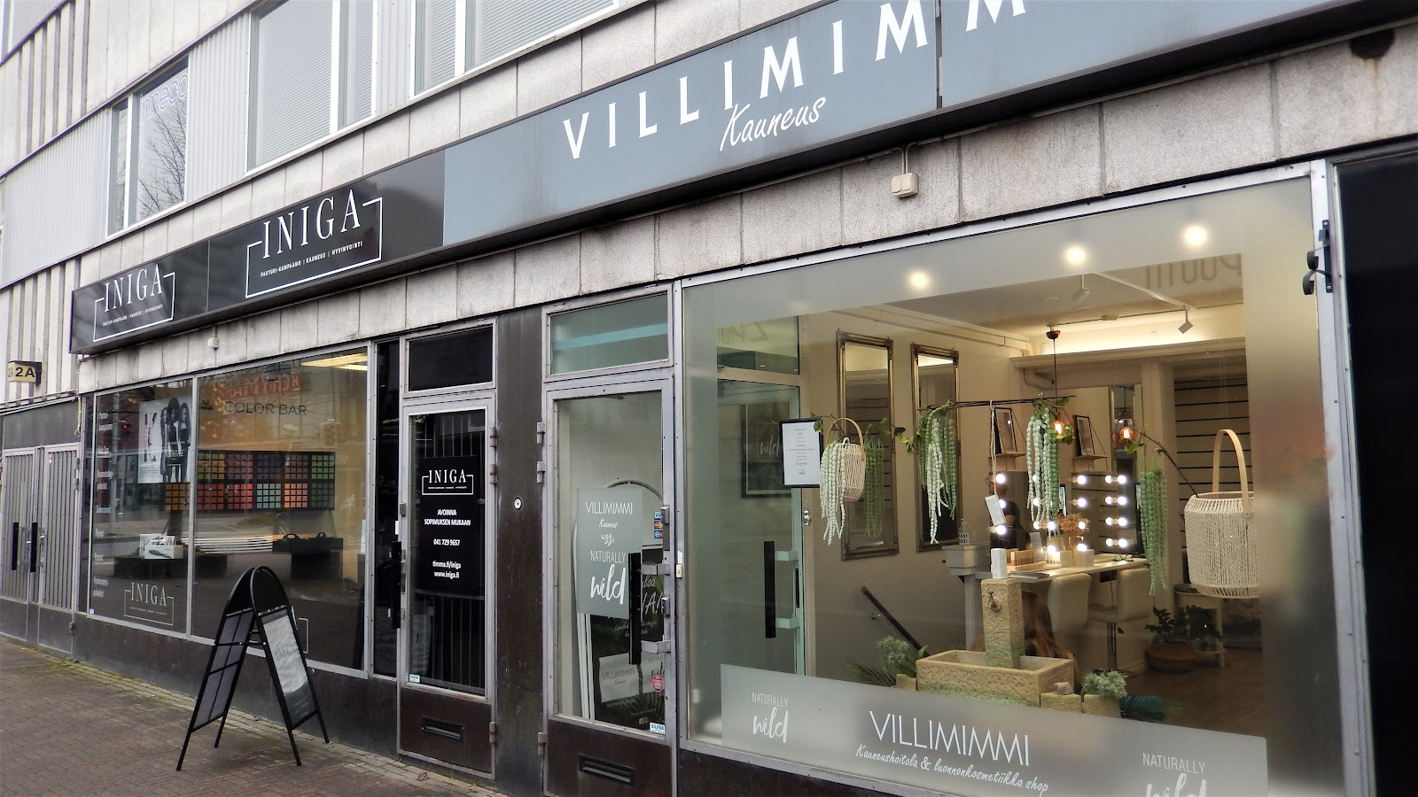 Villimimmi Kauneus kuva 2
