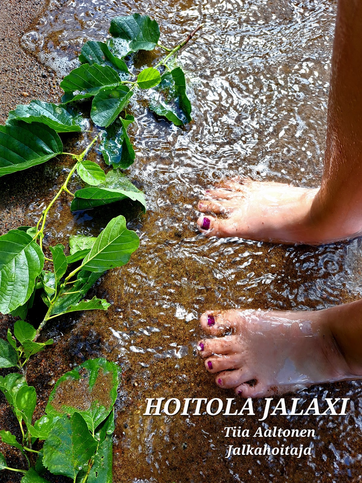 Hoitola Jalaxi kuva 5