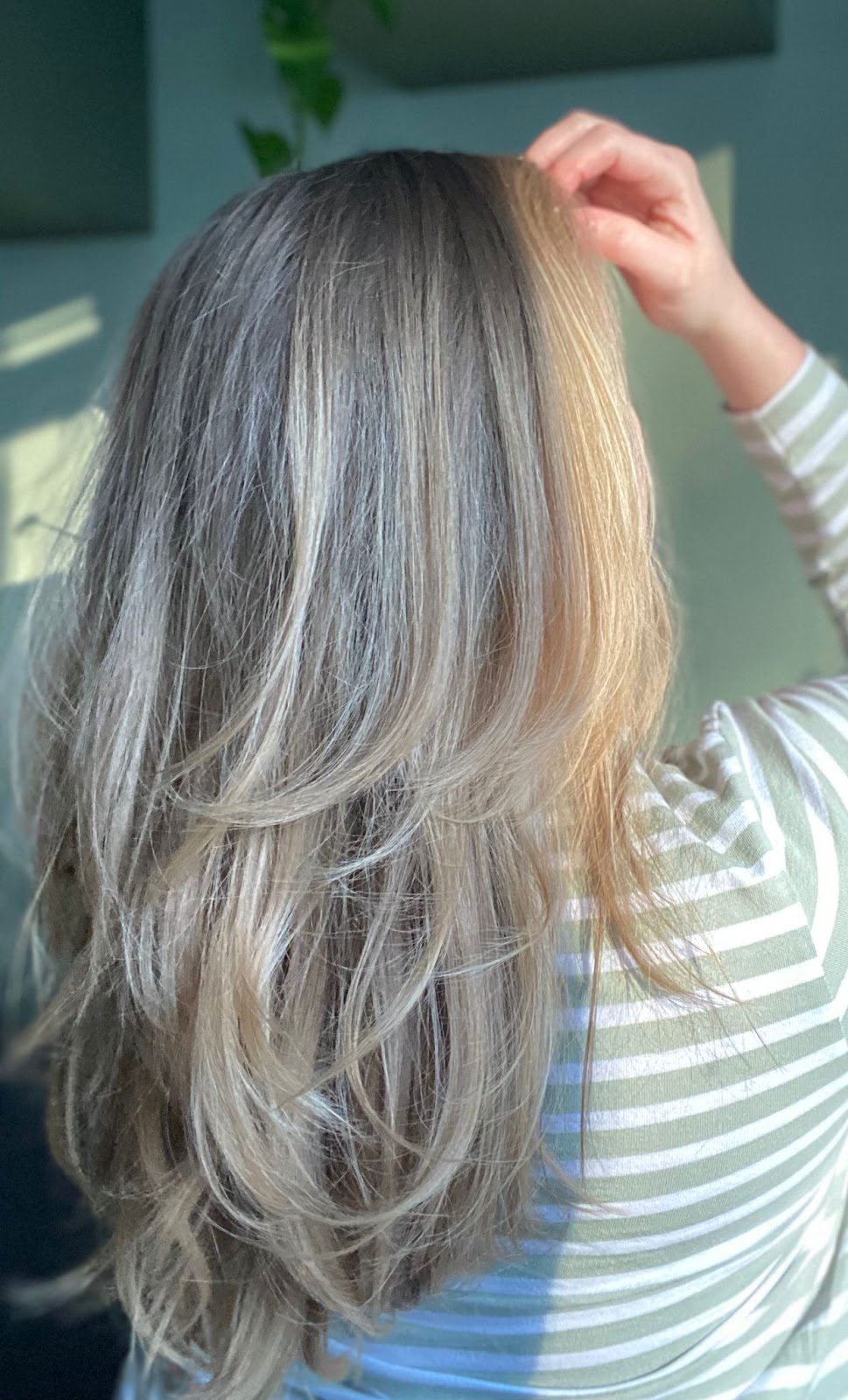 EcoSalon Ruska kuva 2