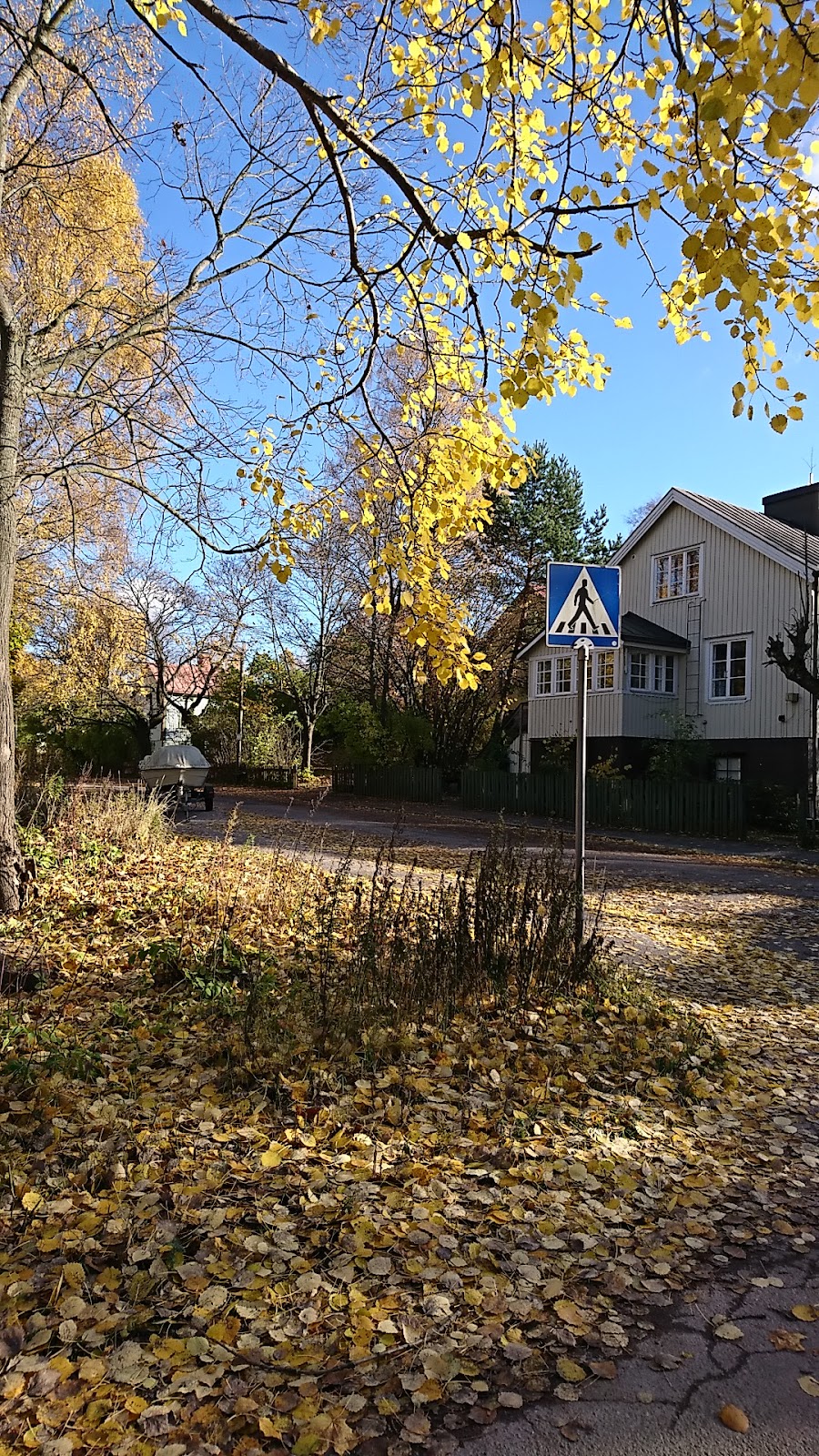 Kauneuskeidas Neiti-Ihminen kuva 5